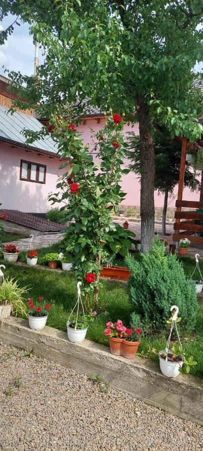 Pensiunea Happy Flowers Greci 외부 사진