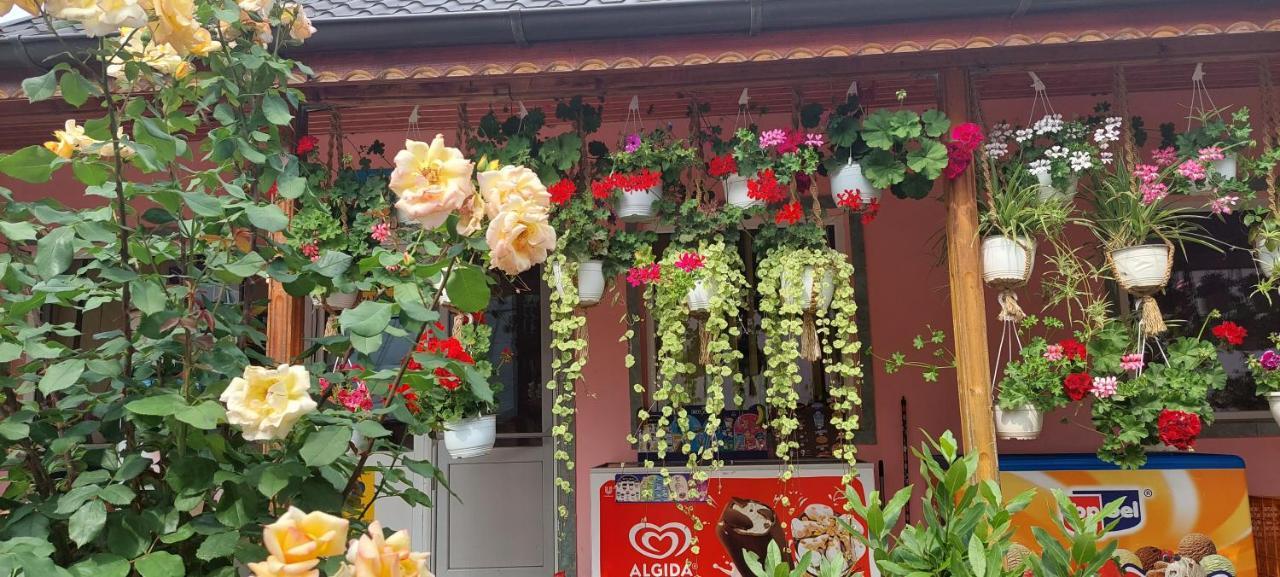 Pensiunea Happy Flowers Greci 외부 사진