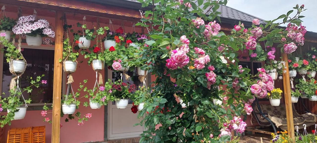 Pensiunea Happy Flowers Greci 외부 사진