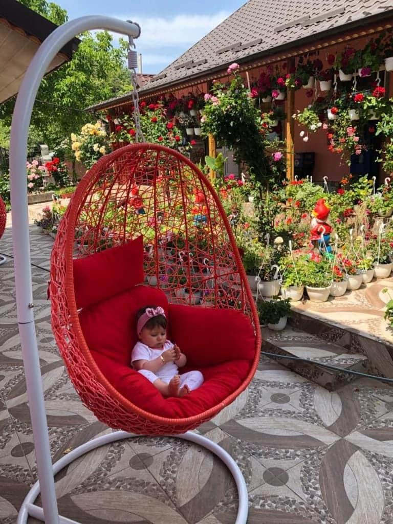 Pensiunea Happy Flowers Greci 객실 사진